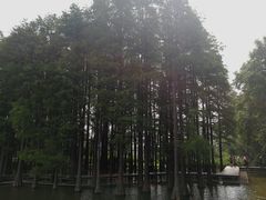 -采石矶景区