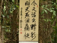-灵岩山风景区