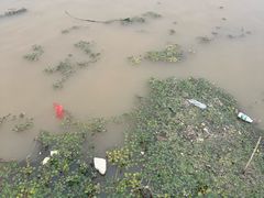 -洨河生态公园