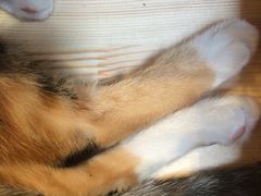 -猫的天空之城概念书店(杭州南宋御街店)