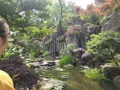 -南山植物园
