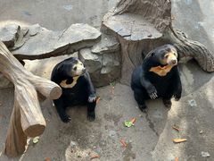 -北京野生动物园