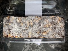 核桃布朗尼-TIMO COFFEE 阿拉校园面包