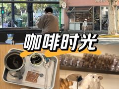 -WHEN PIGS FLY当猪飞