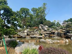 -东莞植物园