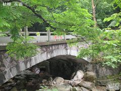 -安吉龙王山风景区