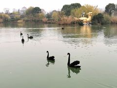 -南通濠河风景名胜区