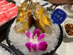 -海月轩海鲜豆捞(紫金塔店)