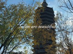 -西海子公园