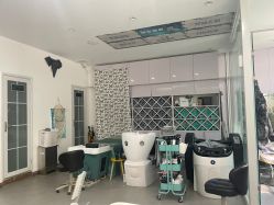 -黑奥秘脱发白发中心