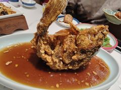 糖醋黄河鲤鱼-梅飞酒家(名辉豪庭店)