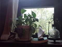 android_upload_pic-BUND·FIVE外滩5号(天际店)