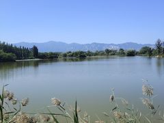 -翠湖国家城市湿地公园