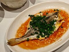 -柴门·头啖汤(天安千树店)