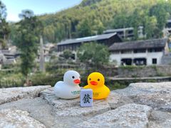 -MOJ coffee(瓯海泽雅水碓坑店)