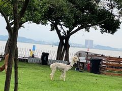 -南沙天后宫景区