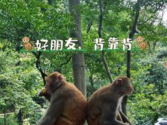 -黔灵山公园