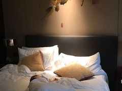 -成都保利公园皇冠假日酒店(熊猫基地店)