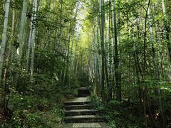 -南山风景名胜区