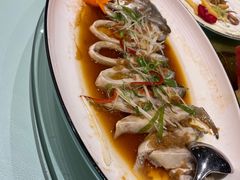 冬菜蒸富贵鲳鱼-苏先生海鲜渔庄(金桥店)