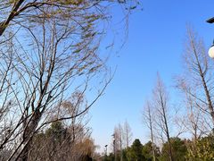 -艾溪湖湿地公园