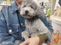 -天时宠物医院24小时疑难病例会诊中心(顾乡大街总院)