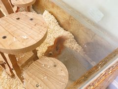 -怪兽屋·羊驼·猫咖·狗咖(俊华广场店)