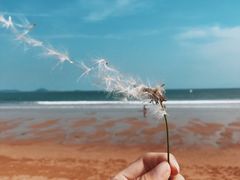 -青岛海泉湾皇冠假日度假酒店