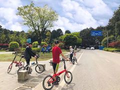 -铁山坪森林公园