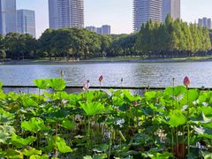 -尚贤河湿地
