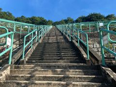 -黄家驹墓
