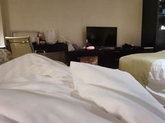 -国家会议中心大酒店