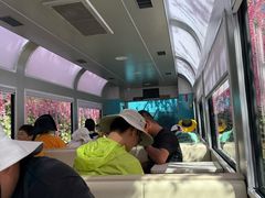 -莫尔道嘎国家森林公园