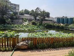 -静之湖度假区