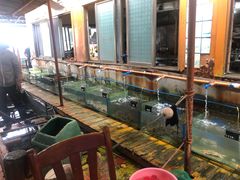水产区-蓝湾碧波·老字号·疍家非遗海上餐厅