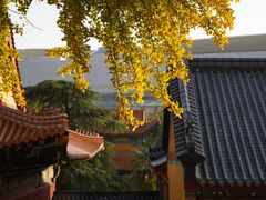 -宝通禅寺