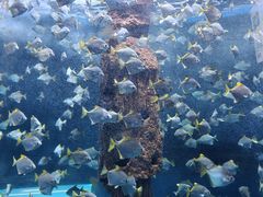 -厦门海底世界