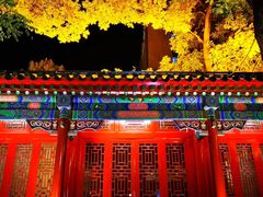 -中央音乐学院歌剧音乐厅