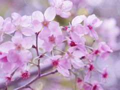 -福建鲤鱼洲酒店