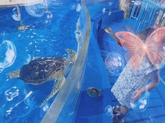 -泉城欧乐堡海洋极地世界