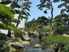 -罗红摄影艺术馆