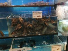 水产区-盒马鲜生(宝地店)