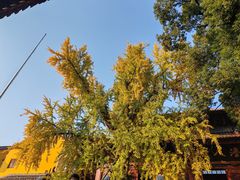 -宝通禅寺