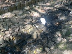 -燕塞湖鸟语林景区