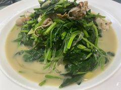 扇贝丁炖菠菜-品味居·首店·大连鲜活海鲜大连菜(东港店)