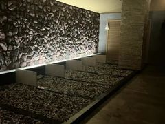 -碧中海汤泉汗蒸酒店