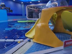 -龙格亲子游泳•水育早教运动中心