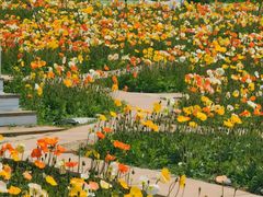 -名花谷生态庄园