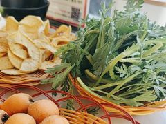 -蘑统田下·野生菌火锅
