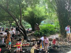 -成都市活水公园